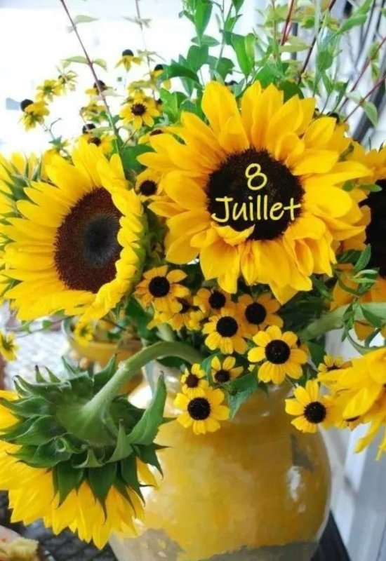 Jeannine  • 44 • Madagascar